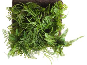 Fern And Grasses Wall Panel