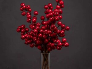 Mini Festive Berry Pick