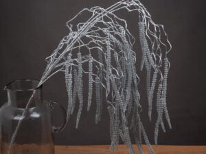 Festive Silver Amaranthus - Image 1