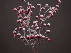 Large Red Festive Berry - Image 1