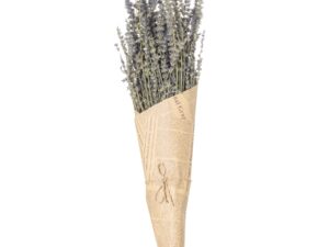 Dried lavender Bunch - Image 1