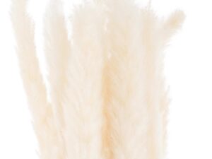 Mini White Pampas Grass Bunch Of 15 - Image 1