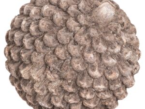 Small Stone Pinecone