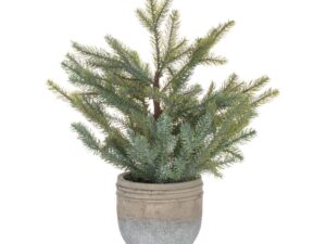 Garda Pine Tree In Stone Pot