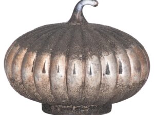 The Lustre Collection Decorative Grey Pumpkin